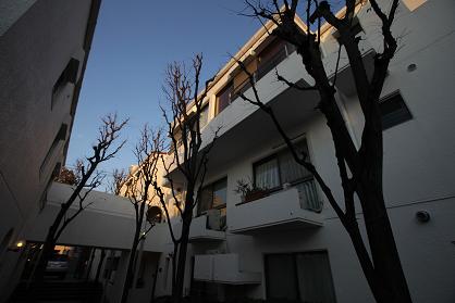 中庭.JPG