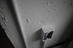 IMG_5922.JPG