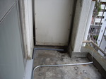 IMGP3996.JPG